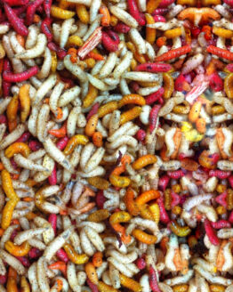 maggot-mix