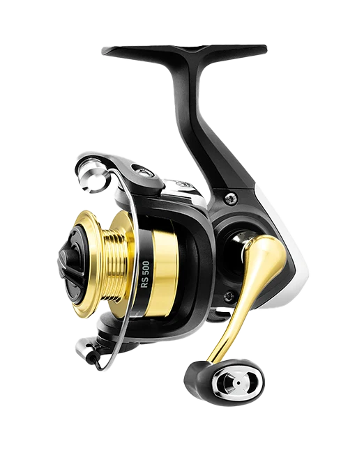 RS500_1000x RS500_1000x